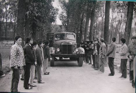 70年代求是路上矗立道路两旁高大笔直的桉树 70年代求是路上矗立道路两旁高大笔直的桉树